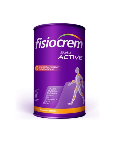 FISIOCREM SOLUBLE ACTIVE 480G